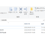 public_key